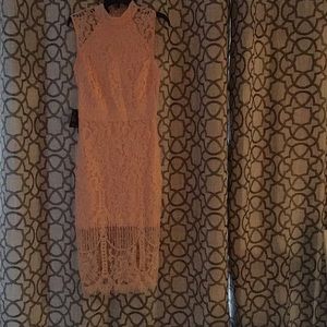 New Bebe dress (size 0)